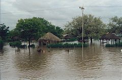 Palapye flood 1.jpg