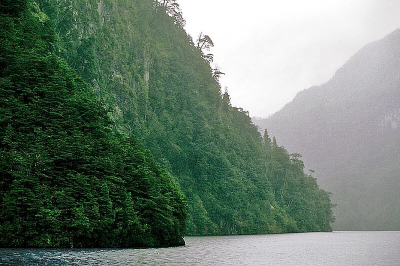 File:Parque Nacional Nahuel Huapi 1994 07.jpg