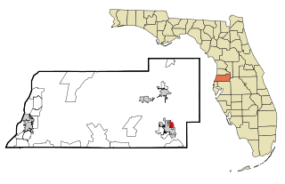 <span class="mw-page-title-main">Zephyrhills North, Florida</span> CDP in Florida, United States