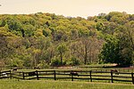 Pepper Pike, Ohio için küçük resim