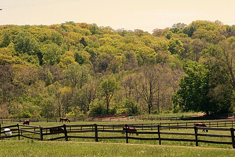 Pepper Pike (Ohio)