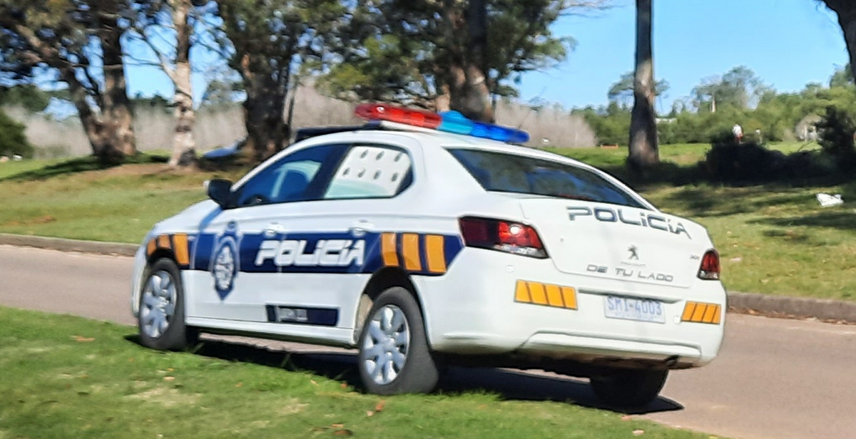 Sirena policía, policía, azul, oficial de policia png