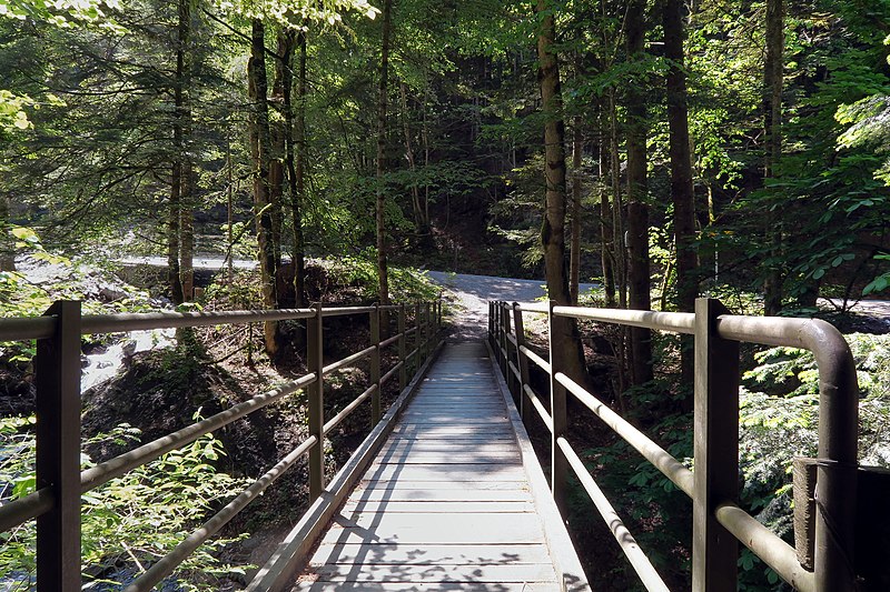 File:Pfäfers - Tamina Canyon Badtobel Bridge (17906104045).jpg