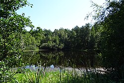 Pond in Emilcin