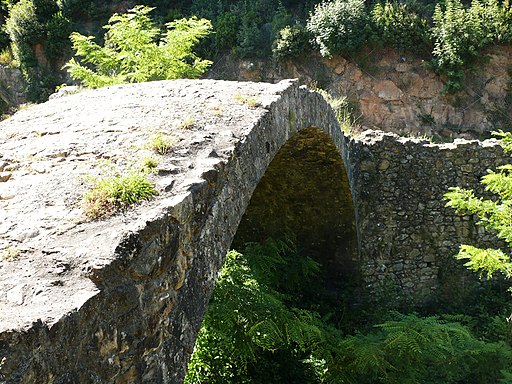 Ponte della Pia