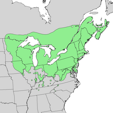 Carte de l'aire de répartition de Populus grandidentata 2.png