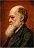 Portrait of Charles Robert Darwin, by Laura Russell, 1869.jpg