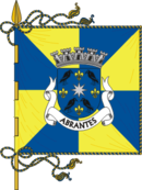 Bandeira de Abrantes