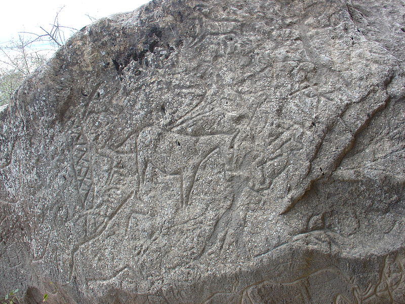 File:Qobustan Petroglyphs.jpg