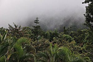 Pays Dominique: Toponymie, Histoire, Géographie physique