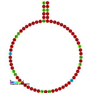 <span class="mw-page-title-main">Small nucleolar RNA Z169</span>