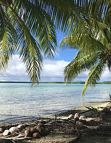 Looking across the lagoon from the south east. The foreground shows litter from the palms. Rakahanga lagoon.jpg