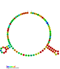 Thumbnail for TxpA-RatA toxin-antitoxin system