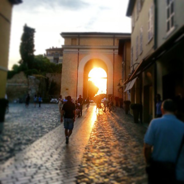 File:Ravenna, luce e vite al tramonto.jpg