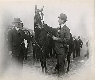 <span class="mw-page-title-main">1915 Kentucky Derby</span> 41st running of an American Thoroughbred race