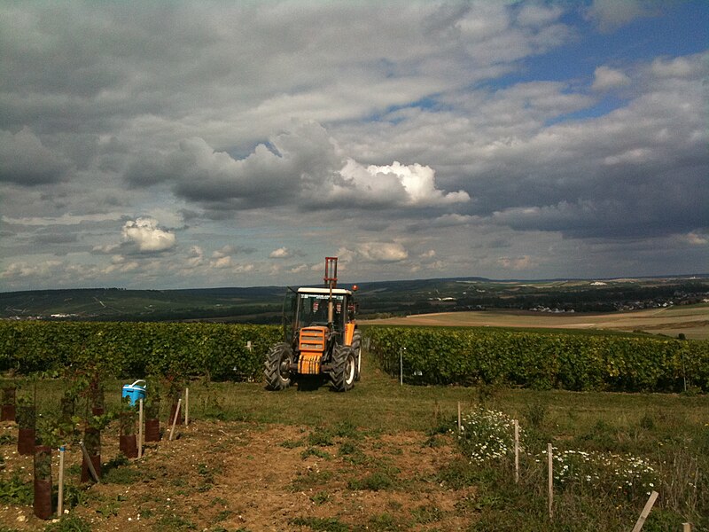 File:Renault tractor with forklift, Épernay 2011 d.jpg