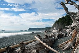 Rialto Beach things to do in 1 Washington Ave