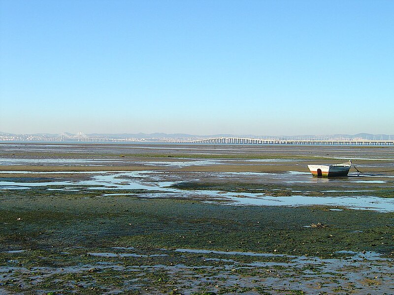 File:Rio Tejo - Samouco - Portugal (308591814).jpg