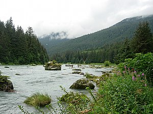 Haines River - Haines, Alaska.