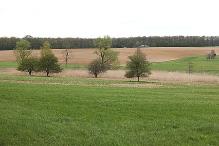 Roßfeld Baumwiesen