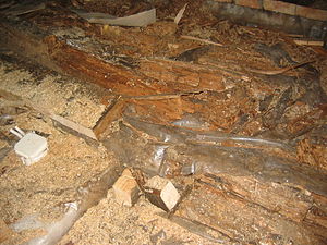 View of rotten timber floor inside building before repairs.