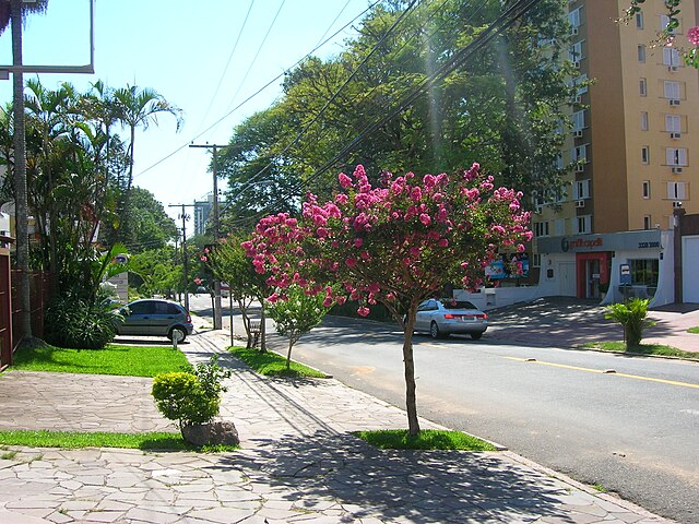 A Rua Anita Garibaldi.