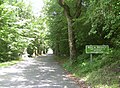 Un aspect de la forêt de Bregille.