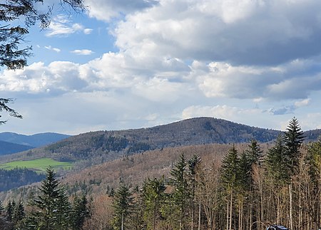 Ruhmannsberg von Steinbüchl aus