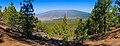 * Nomination View from Ruta de los Volcaes at the western slope of the Pico Birigoyo on the the Llano del Jable, the Montaña Enrique and the Montaña Quemada, in the background the Caldera de Taburiente, La Palma --Llez 05:20, 19 May 2019 (UTC) * Promotion Good quality. -- Johann Jaritz 05:35, 19 May 2019 (UTC)