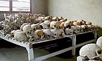 Rwandan Genocide