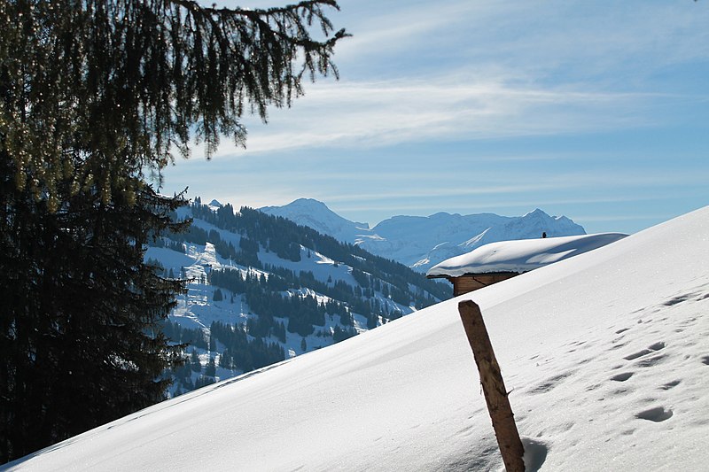 File:Saanenmöser - Plani - Rellerli - panoramio (22).jpg