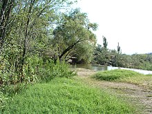 Desert oasis in Sabino Canyon Sabino dam.jpg