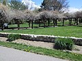 International Peace Gardens