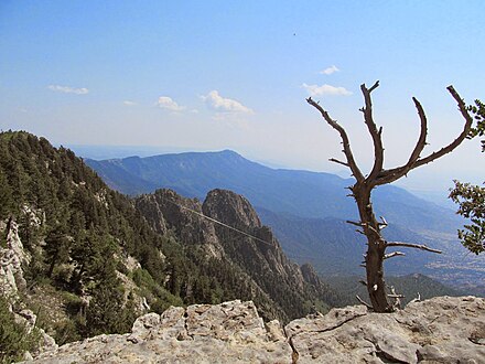 The view from Sandia Crest