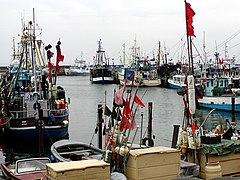 Fischerhafen