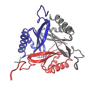 <span class="mw-page-title-main">SbtB protein</span>