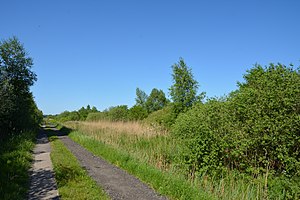 Schleswig-Holstein, Hennstedt, Landschaftsschutzgebiet Hennstedter Moor NIK 2615.jpg