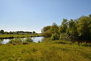 Schleswig-Holstein, Tellingstedt, Landschaftsschutzgebiet Großes Moor Kätner Moor NIK 7104.jpg