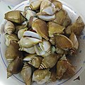 Dog conchs served in a seafood restaurant near Johor Bahru, Malaysia