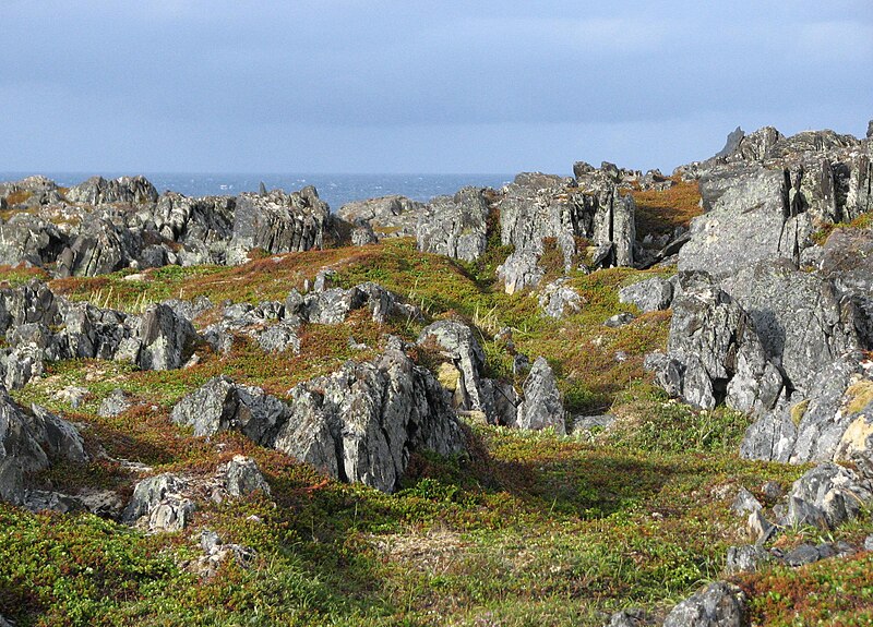 File:Slettnes Nature Reserve 06.jpg