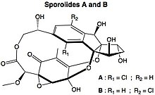 Sporolides A dan B.jpg