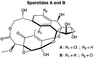 Sporolides Chemical compound