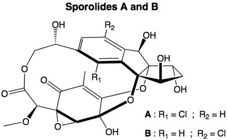 Sporolides