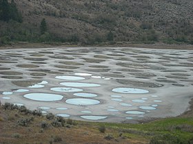 Immagine illustrativa dell'articolo Spotted Lake