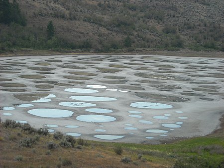 Spotted Lake close-up.jpg