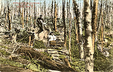 Pugnose Rock on the Steps Trail, Dutcher's original trail up Slide Mountain. Image courtesy of http://www.catskillarchive.com