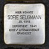 Stolperst wiesenau 18 seligmann sofie