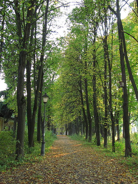 File:Sukhanovo Park 1.JPG