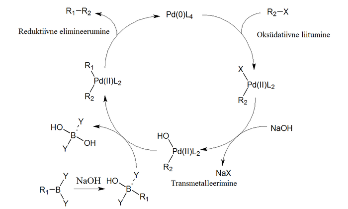 Suzuki reaktsiooni katalüütiline tsükkel