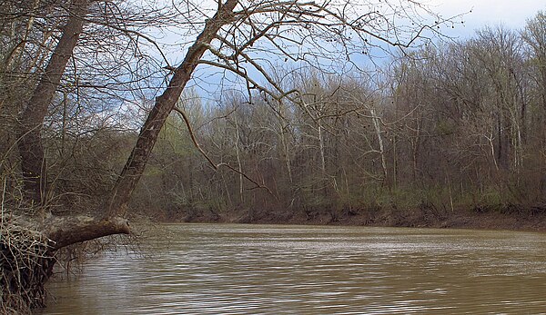 Tallahatchie River south of Minter City